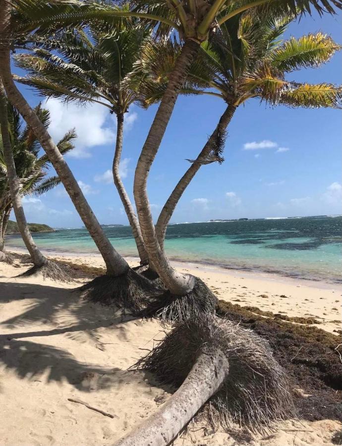 Couleur Caraibes-Cocobeach Martinique Pierre Et Vacances Sainte-Luce Exteriér fotografie