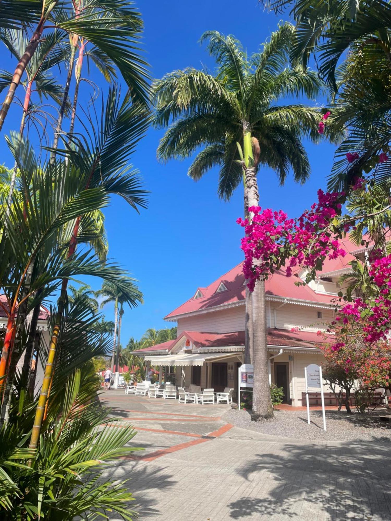 Couleur Caraibes-Cocobeach Martinique Pierre Et Vacances Sainte-Luce Exteriér fotografie