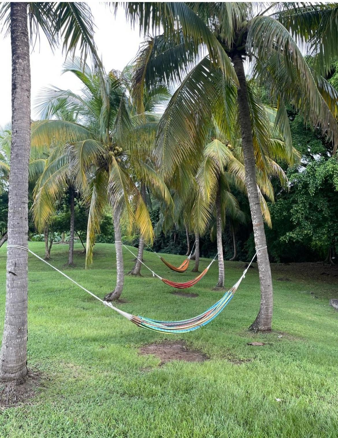 Couleur Caraibes-Cocobeach Martinique Pierre Et Vacances Sainte-Luce Exteriér fotografie