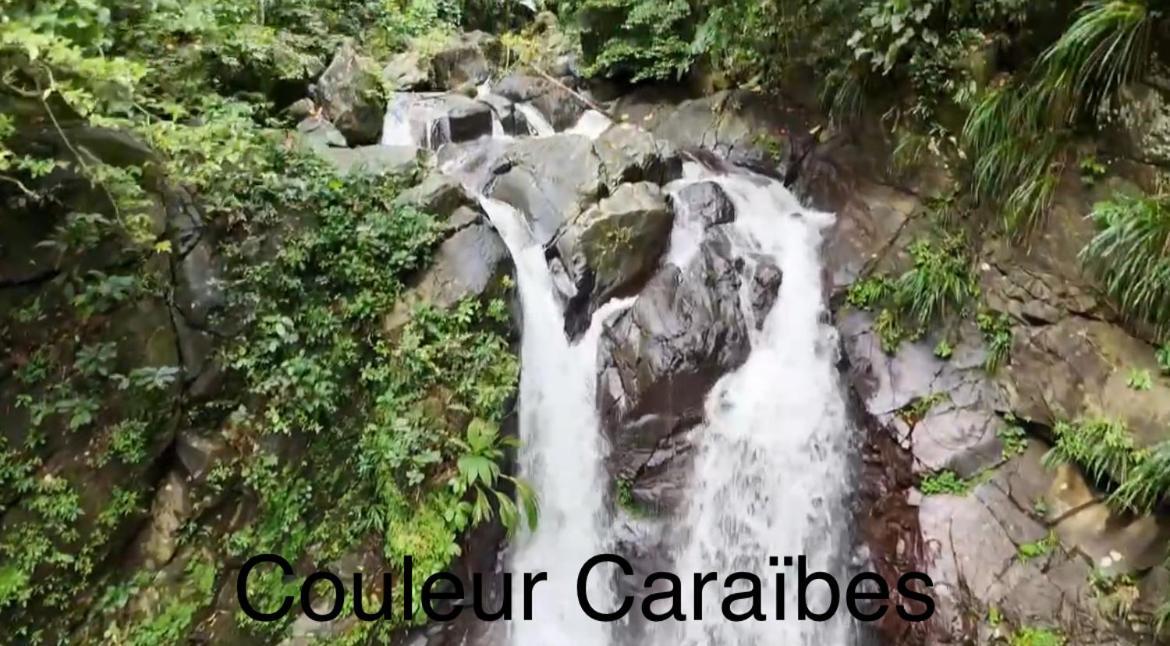 Couleur Caraibes-Cocobeach Martinique Pierre Et Vacances Sainte-Luce Exteriér fotografie