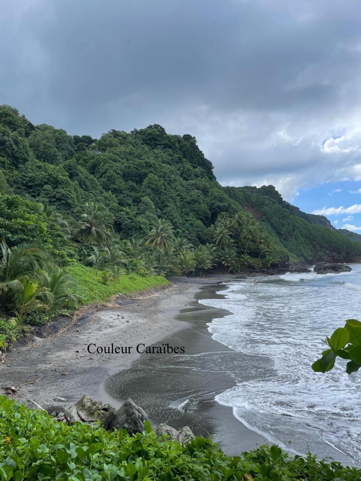 Couleur Caraibes-Cocobeach Martinique Pierre Et Vacances Sainte-Luce Exteriér fotografie