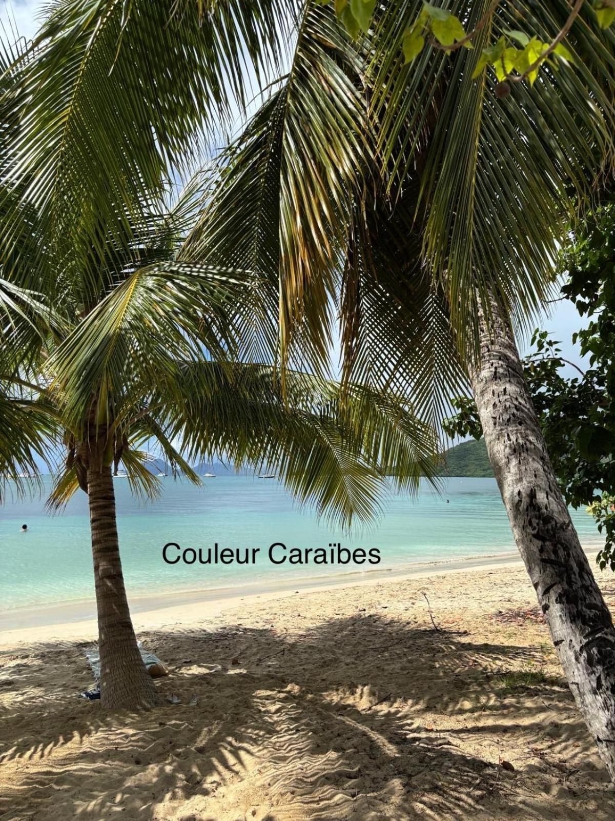 Couleur Caraibes-Cocobeach Martinique Pierre Et Vacances Sainte-Luce Exteriér fotografie